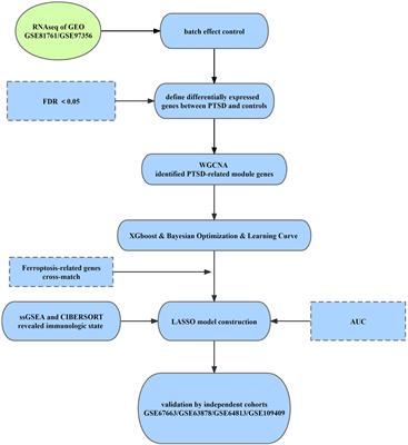 Blood transcriptome analysis: Ferroptosis and potential inflammatory pathways in post-traumatic stress disorder